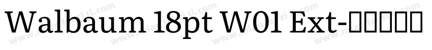 Walbaum 18pt W01 Ext字体转换